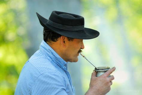 Gaucho Drinking Mate, Fiesta de la Tradición, San Antonio de Areco, Provincia de Buenos Aires, Argentina