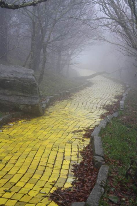 ybabandoned-yellow-brick-road